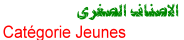 الشبكة فوت